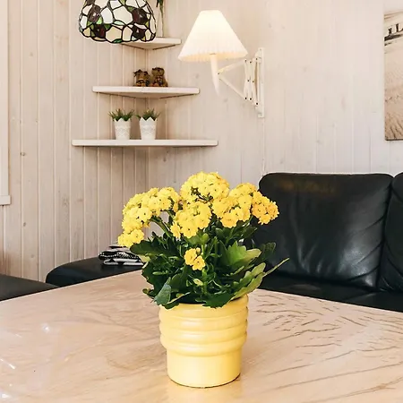 4 Person In Lokken-by Traum 度假居 *